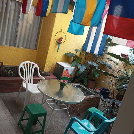 Yellow House Hostel ميديلين المظهر الخارجي الصورة