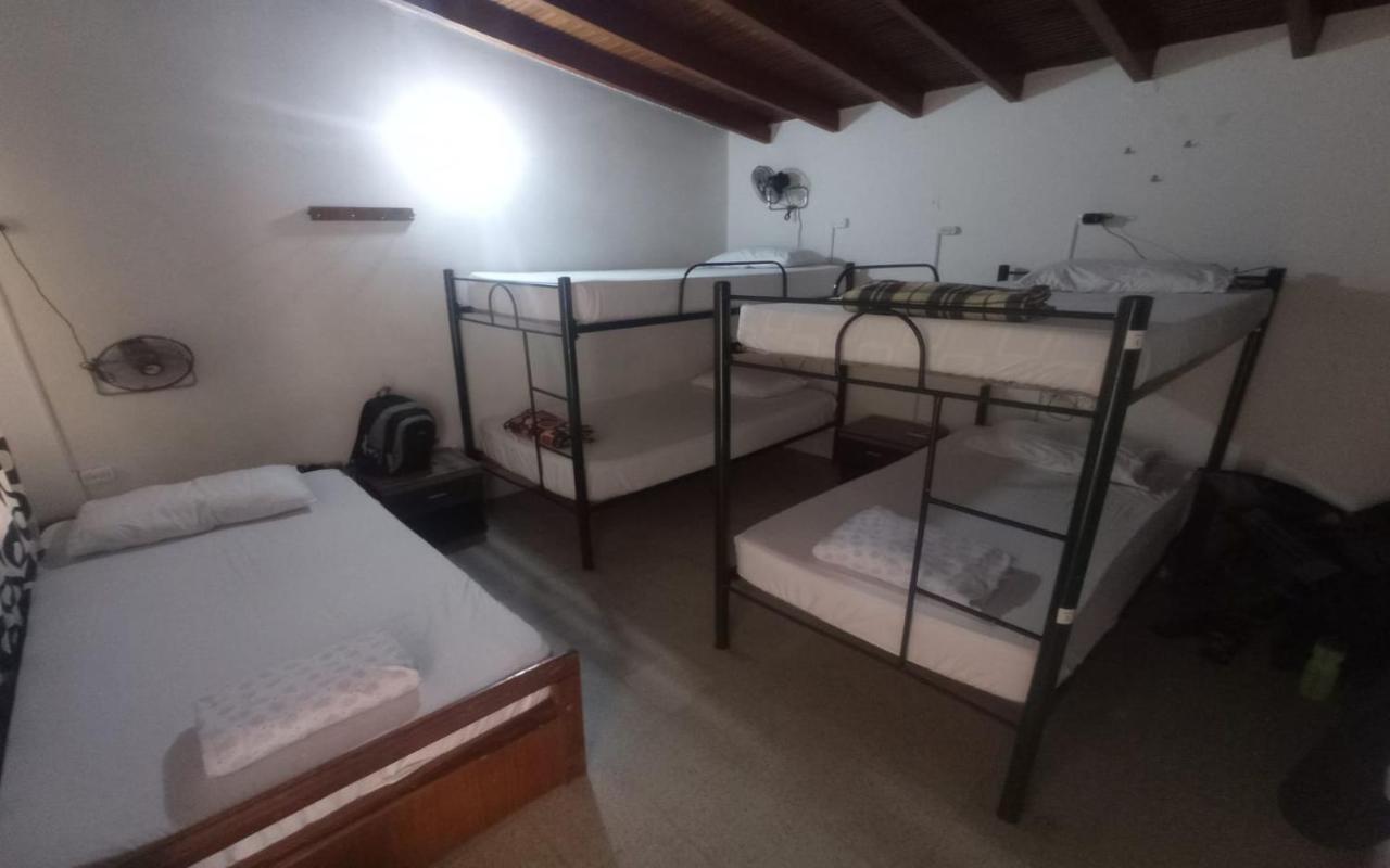 Yellow House Hostel ميديلين المظهر الخارجي الصورة