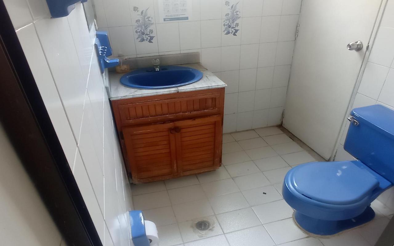 Yellow House Hostel ميديلين المظهر الخارجي الصورة