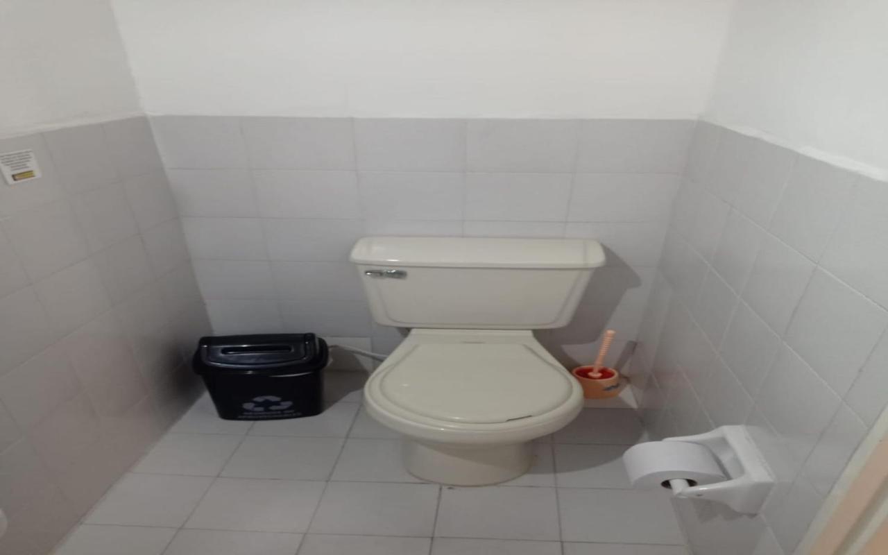 Yellow House Hostel ميديلين المظهر الخارجي الصورة