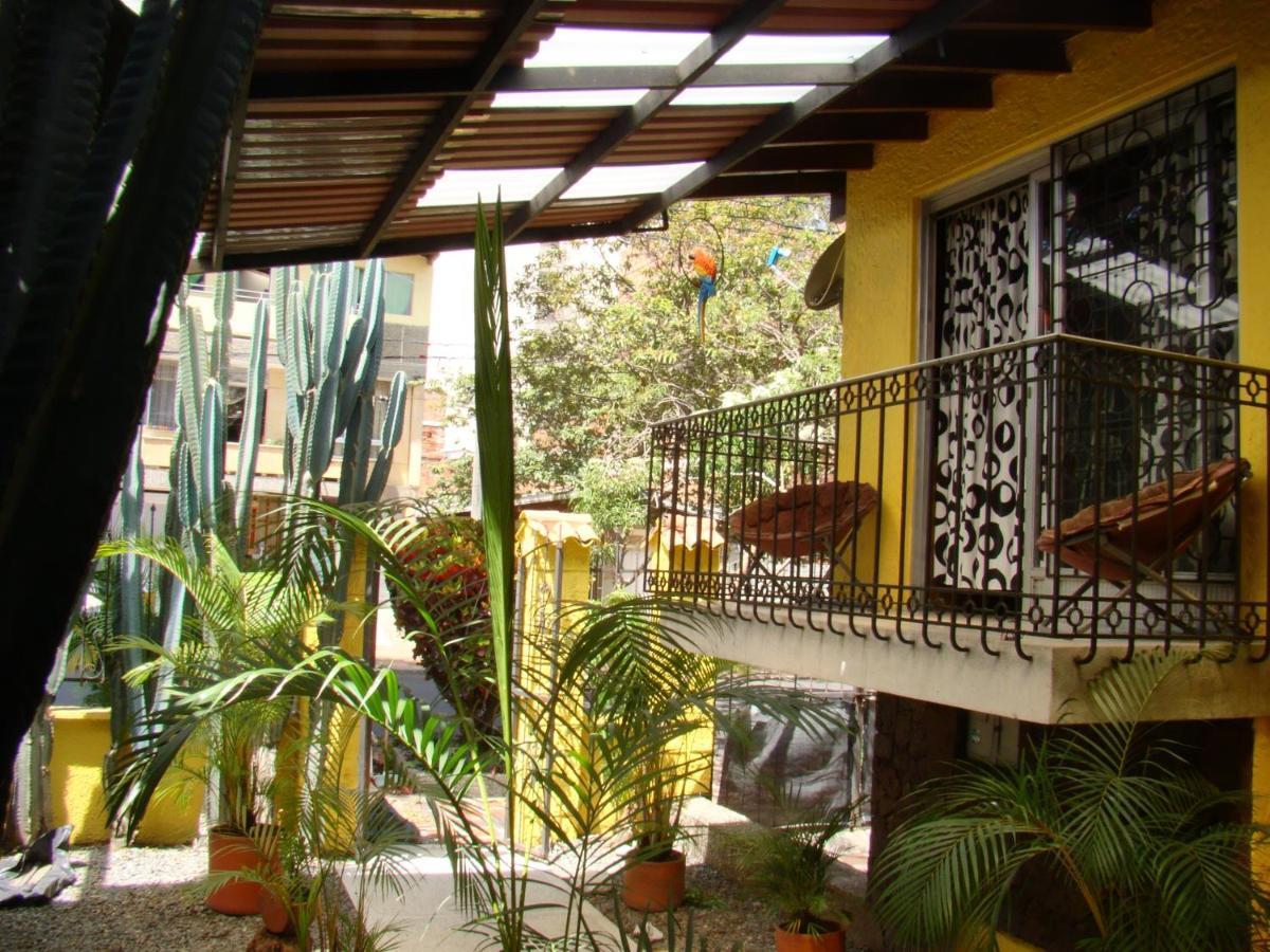 Yellow House Hostel ميديلين المظهر الخارجي الصورة